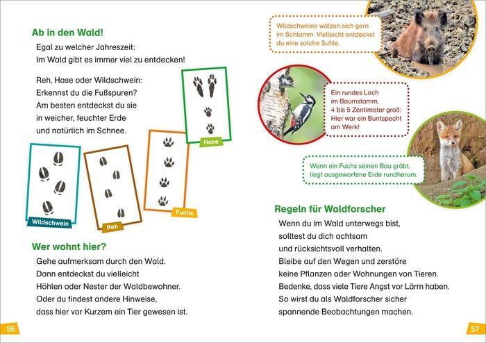 WIW Erstes Lesen Wald - WELTENTDECKER
