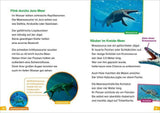 WIW Erstes Lesen Band 13 Dinosaurier - WELTENTDECKER