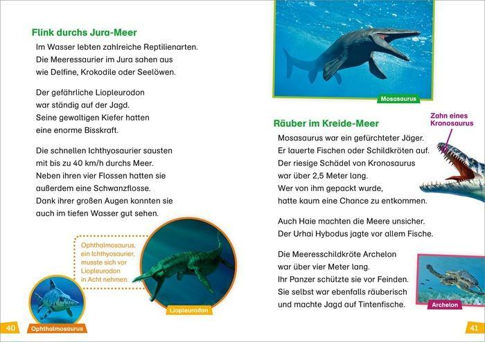 WIW Erstes Lesen Band 13 Dinosaurier - WELTENTDECKER