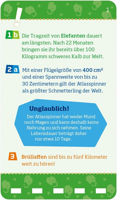 WIW Quiz Rekorde der Tierwelt