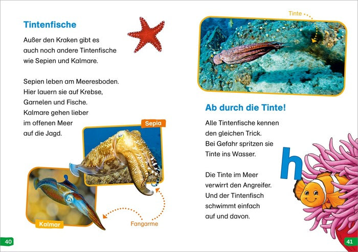 WAS IST WAS Erstes Lesen easy! Band 2: Tiere im Meer