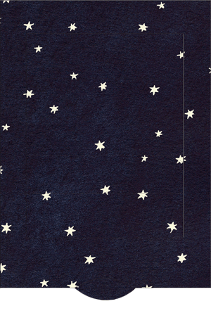 Lebende Karte Sternschnuppe
