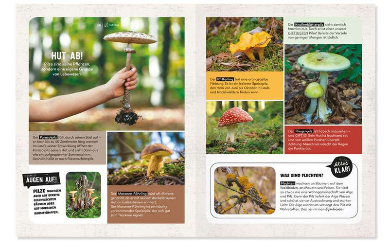 Mein Sach- und Mach-Wald-Buch