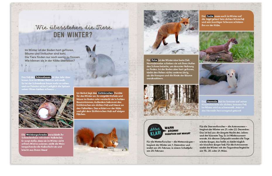 Mein Sach- und Mach-Winter-Buch