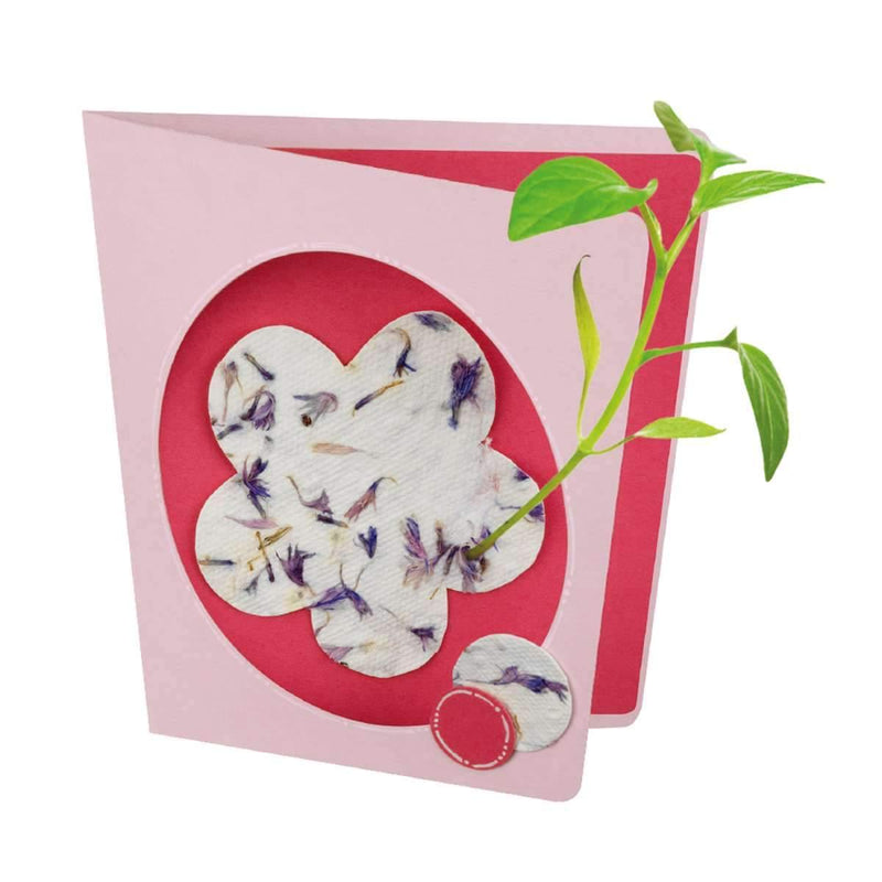 Blühendes Papier - WELTENTDECKER