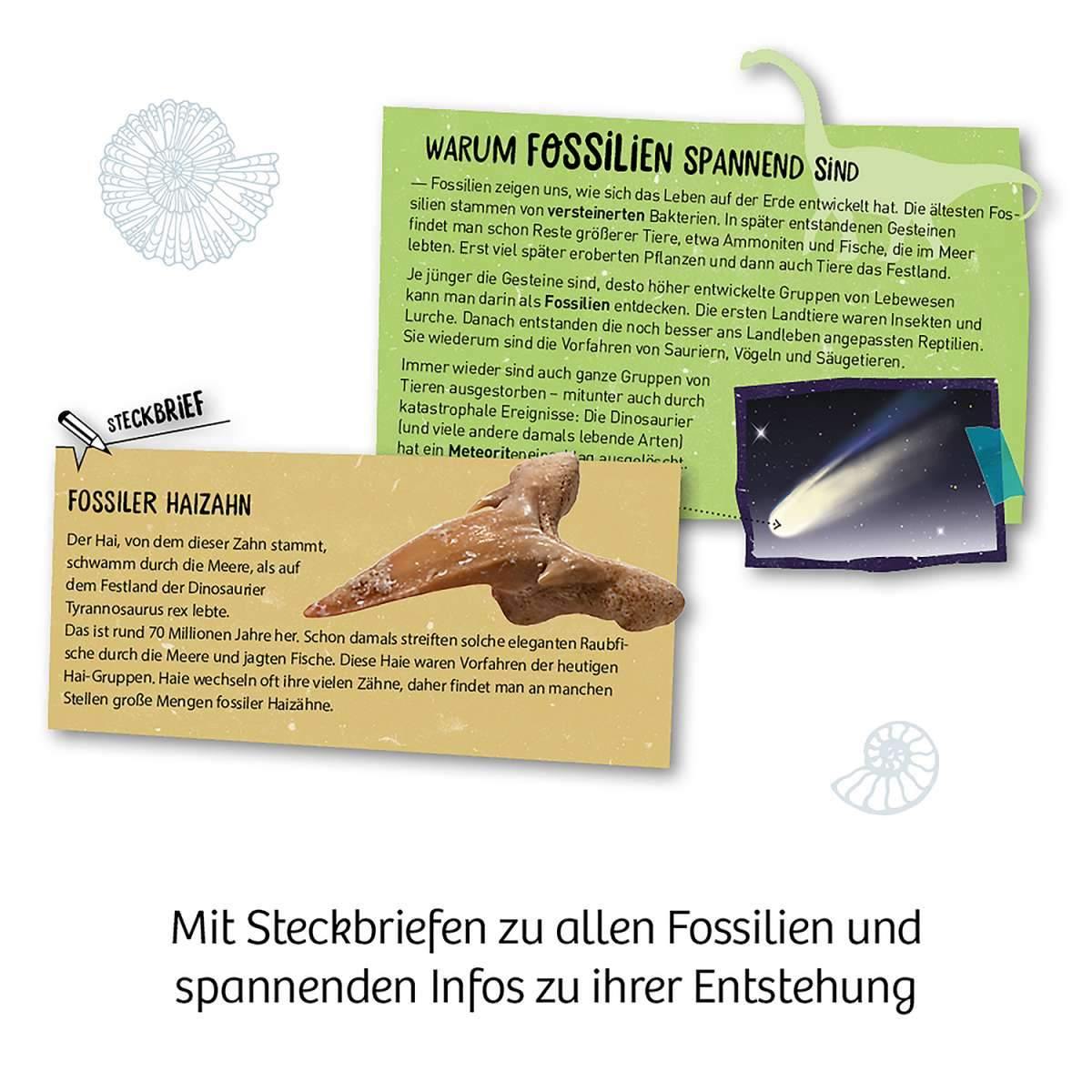 Ausgrabungsset Fossilien - WELTENTDECKER