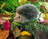 Igelchen  braunmeliert  12 cm