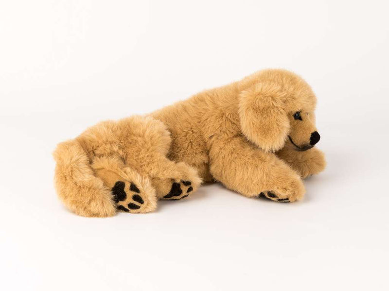 Golden Retriever Welpe  liegend