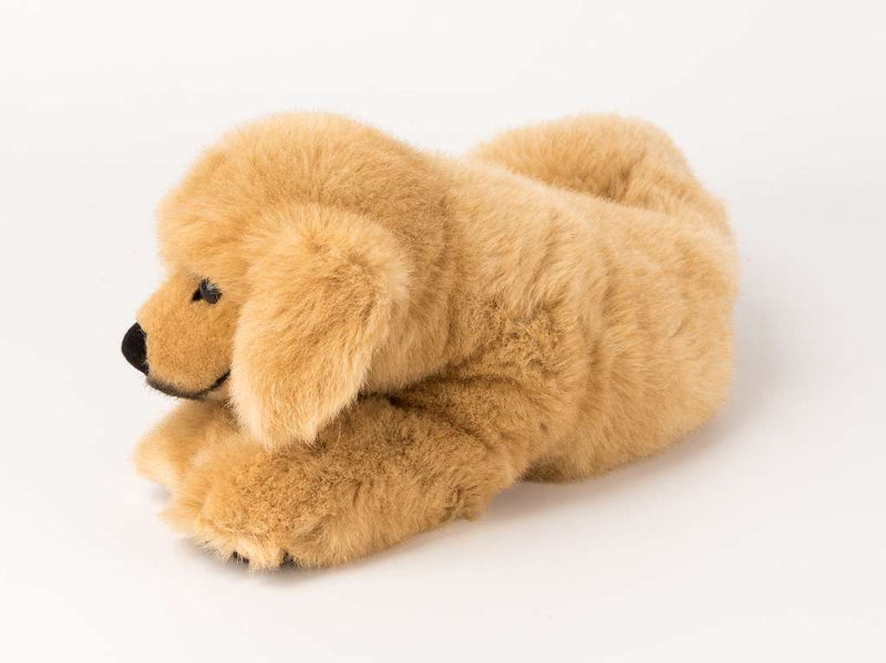 Golden Retriever Welpe  liegend