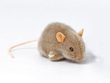 Maus "Pops"  grau  10 cm