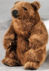 Braunbär - WELTENTDECKER